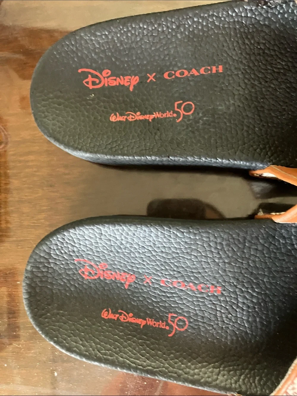 Coach new mickey